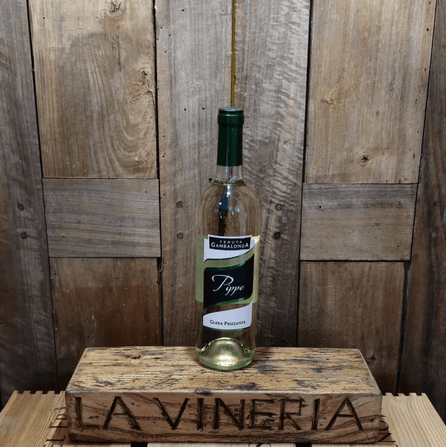 Pippo Frizzante Colli Euganei Tenuta Gambalonga Vol. 11.5% cl75